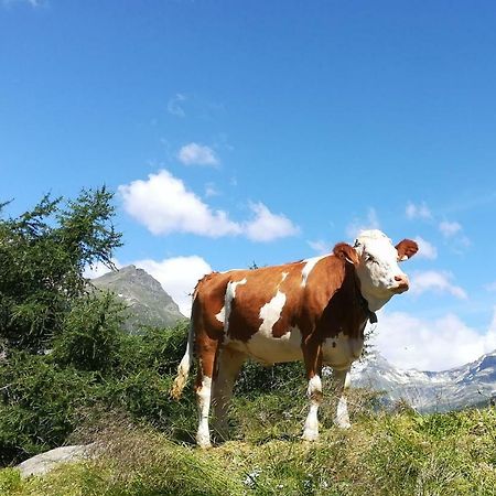Apartamento Simiterhof Matrei in Osttirol Exterior foto